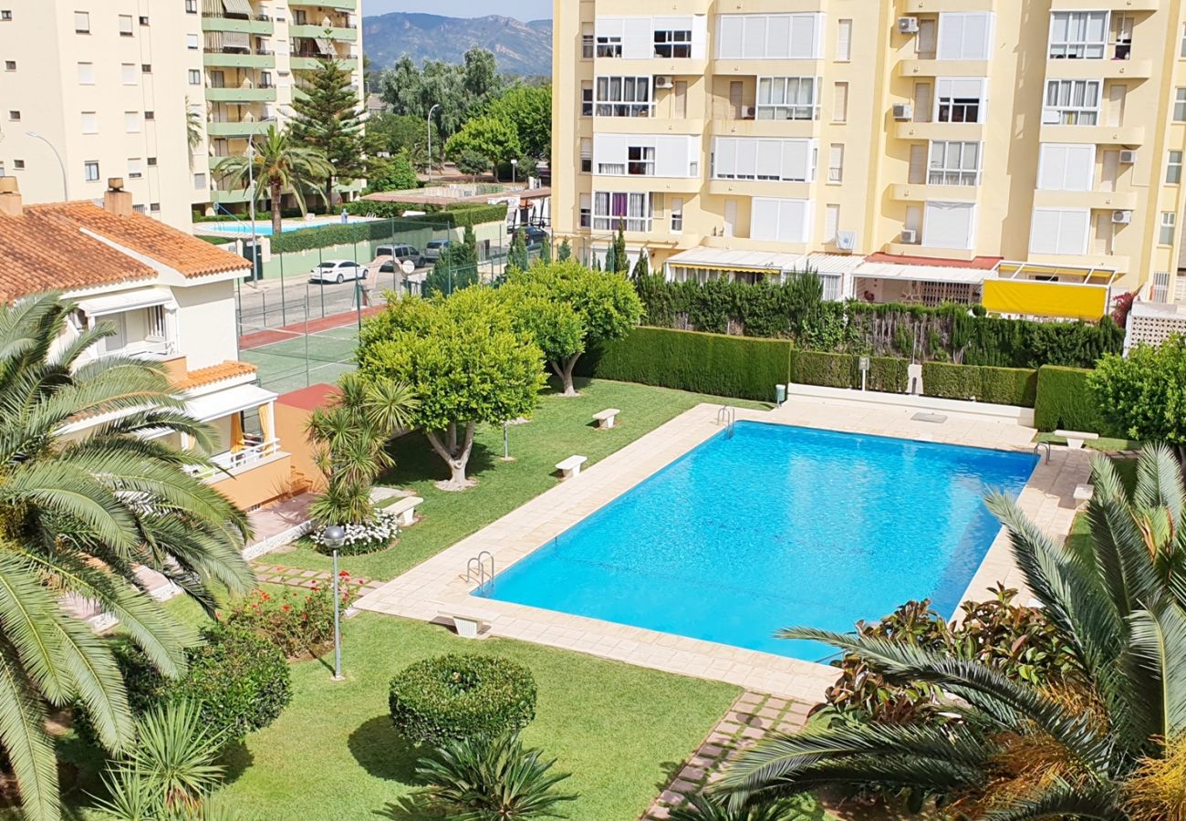Apartamento en Gandia - PLAY GANDI 1ª - 4º - 8
