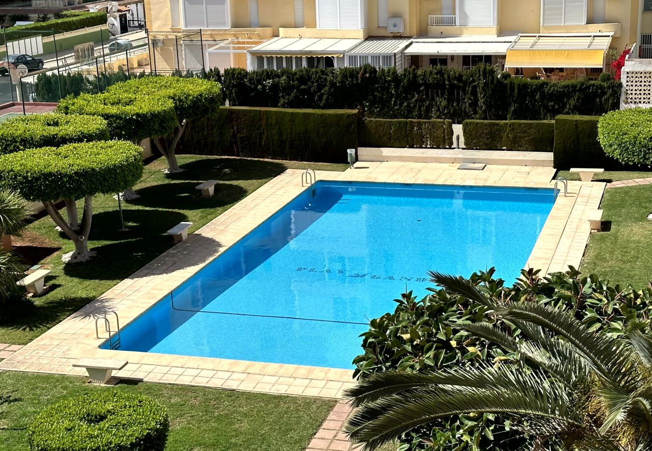 Apartamento en Gandia - PLAY GANDI 1ª - 4º - 8