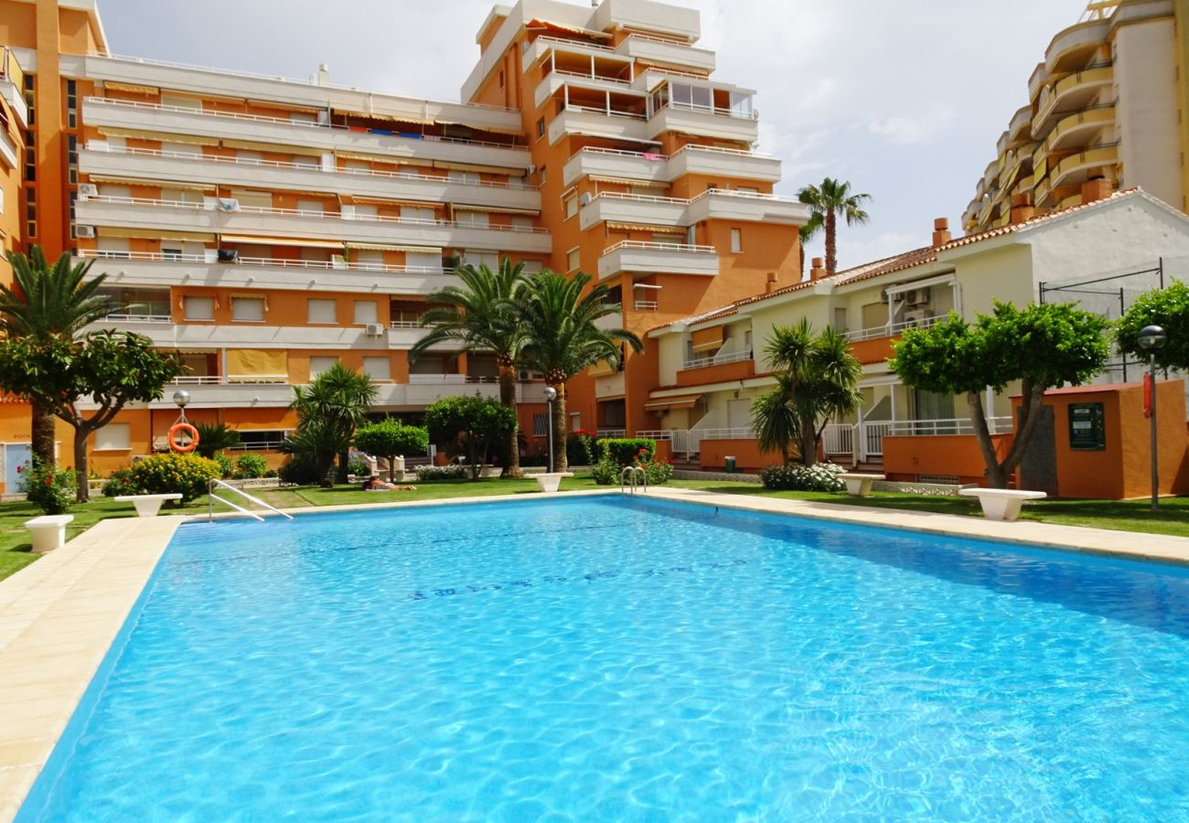 Apartamento en Gandia - PLAY GANDI 1ª - 4º - 8