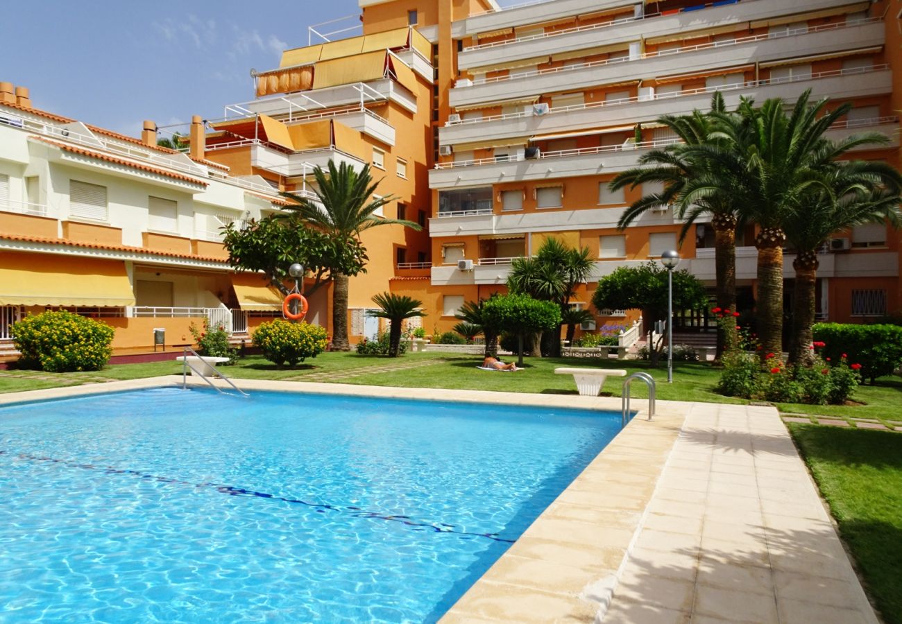 Apartamento en Gandia - PLAY GANDI 1ª - 4º - 8