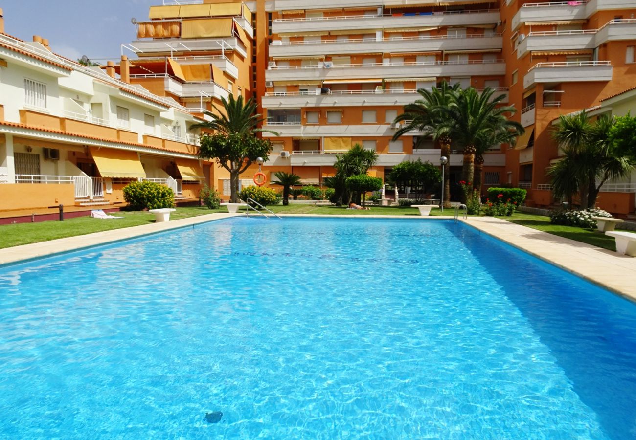 Apartamento en Gandia - PLAY GANDI 1ª - 4º - 8