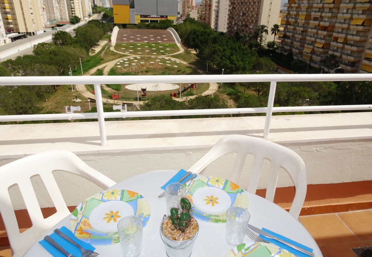 Apartamento en Gandia - PLAY GANDI 1ª - 7º - 6ª