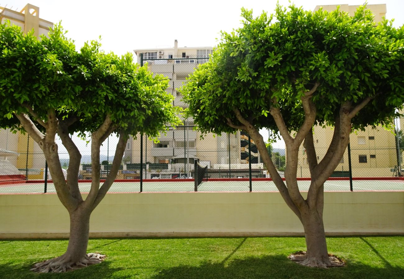 Apartamento en Gandia - PLAY GANDI 1ª - 7º - 6ª