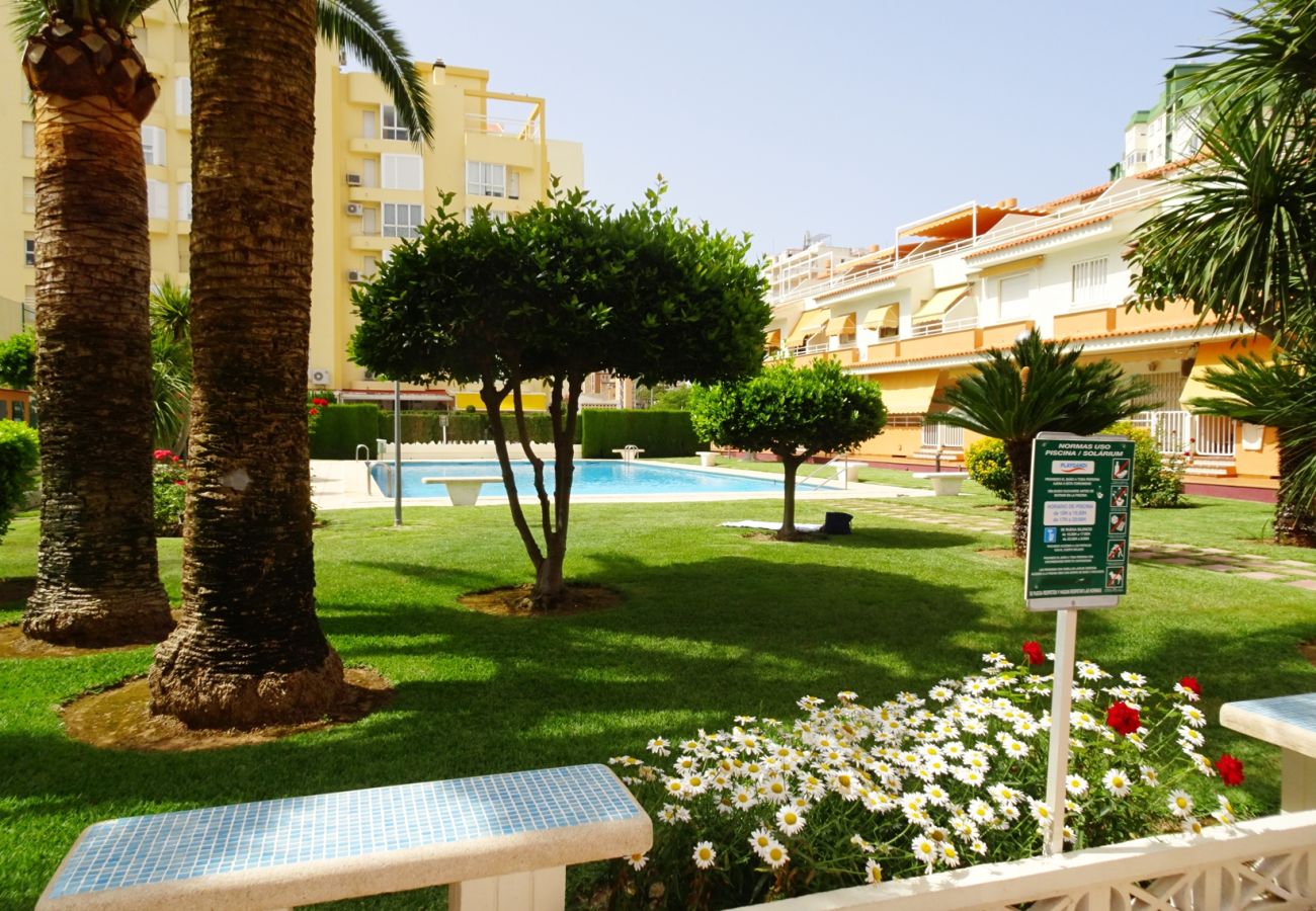 Apartamento en Gandia - PLAY GANDI 1ª - 7º - 6ª