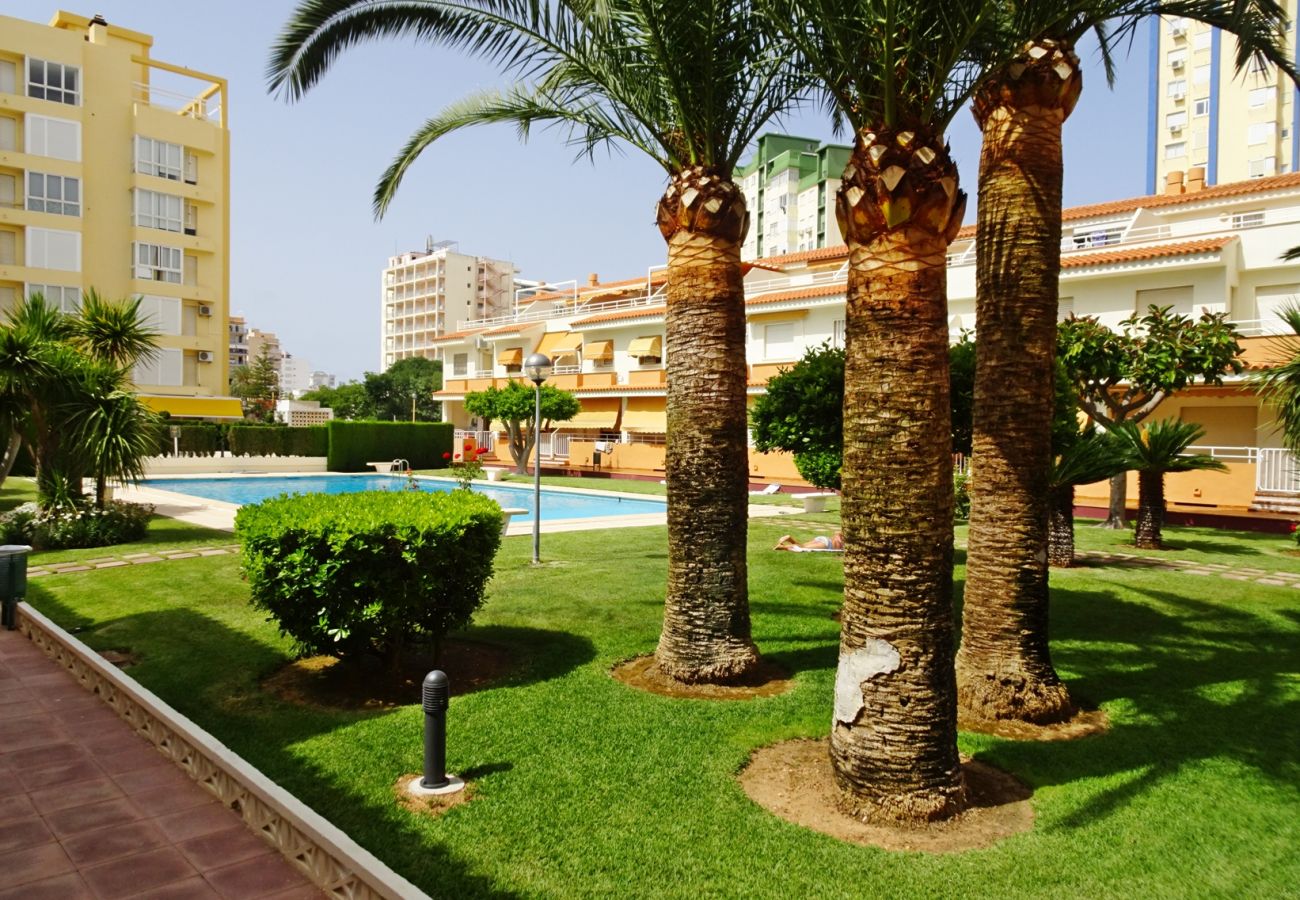 Apartamento en Gandia - PLAY GANDI 1ª - 7º - 6ª