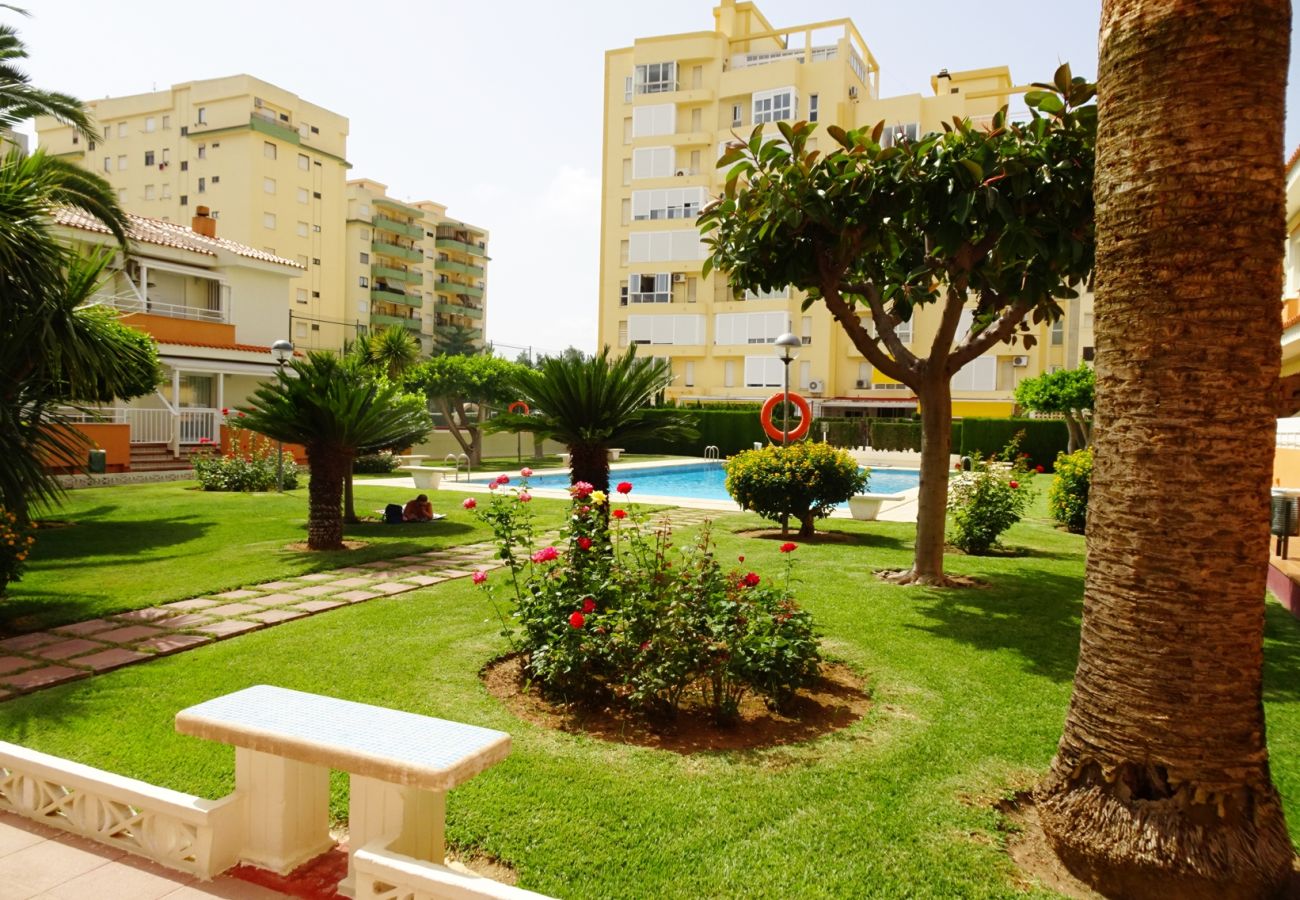 Apartamento en Gandia - PLAY GANDI 1ª - 7º - 6ª