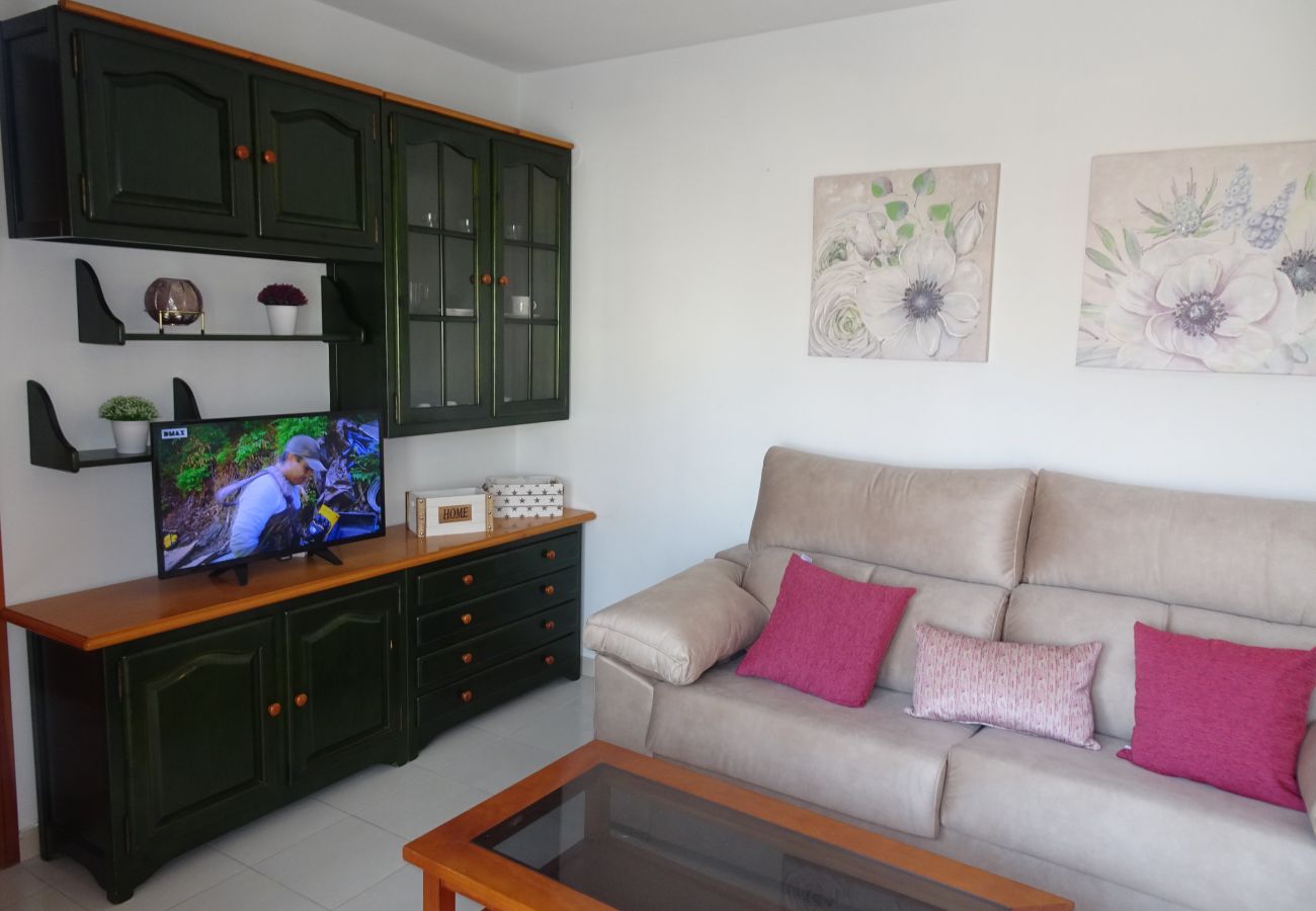 Apartamento en Gandia - PLAY GANDI 1ª - 7º - 6ª
