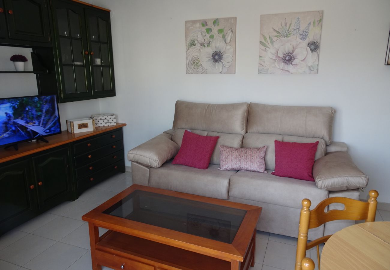 Apartamento en Gandia - PLAY GANDI 1ª - 7º - 6ª