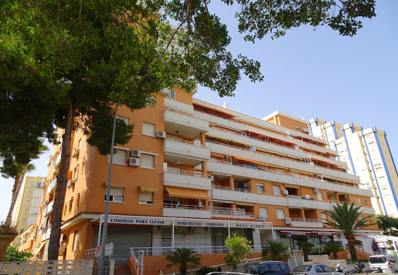 Apartamento en Gandia - PLAY GANDI 1ª - 7º - 6ª