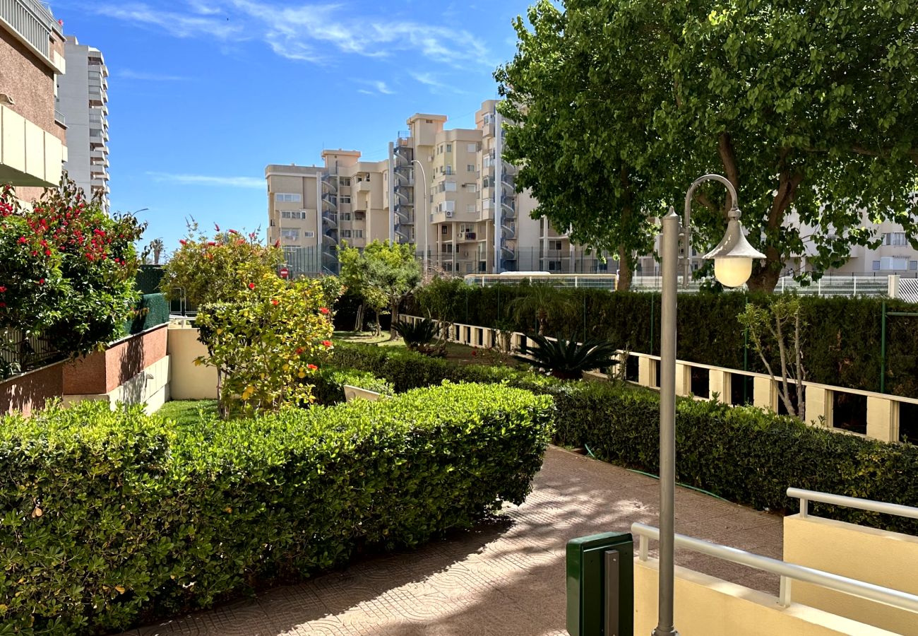 Apartamento en Gandia - RENAYXENÇA 3ª - 6º - 14ª