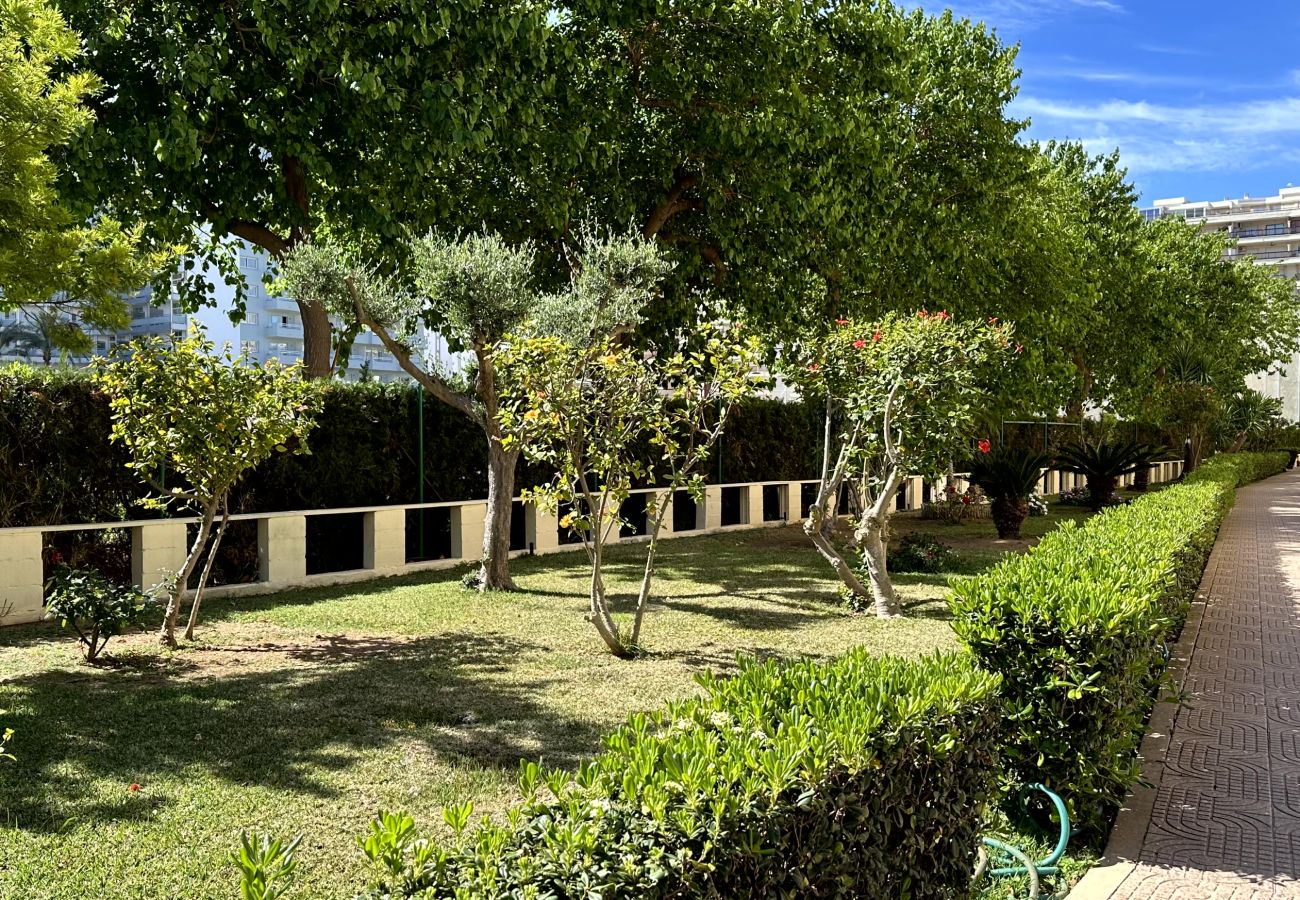 Apartamento en Gandia - RENAYXENÇA 3ª - 6º - 14ª