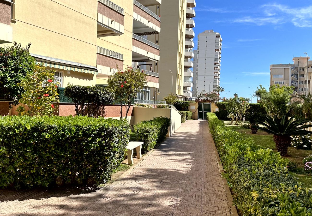 Apartamento en Gandia - RENAYXENÇA 3ª - 6º - 14ª