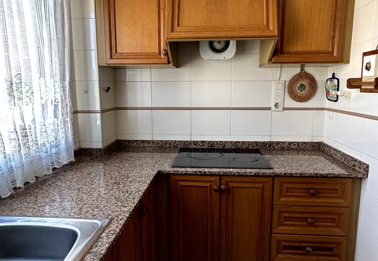 Apartamento en Gandia - REYNA 7º - 33