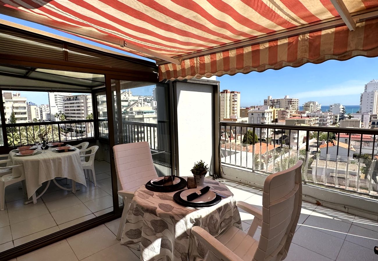 Apartamento en Gandia - REYNA 7º - 33