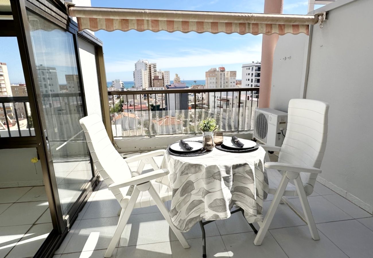 Apartamento en Gandia - REYNA 7º - 33
