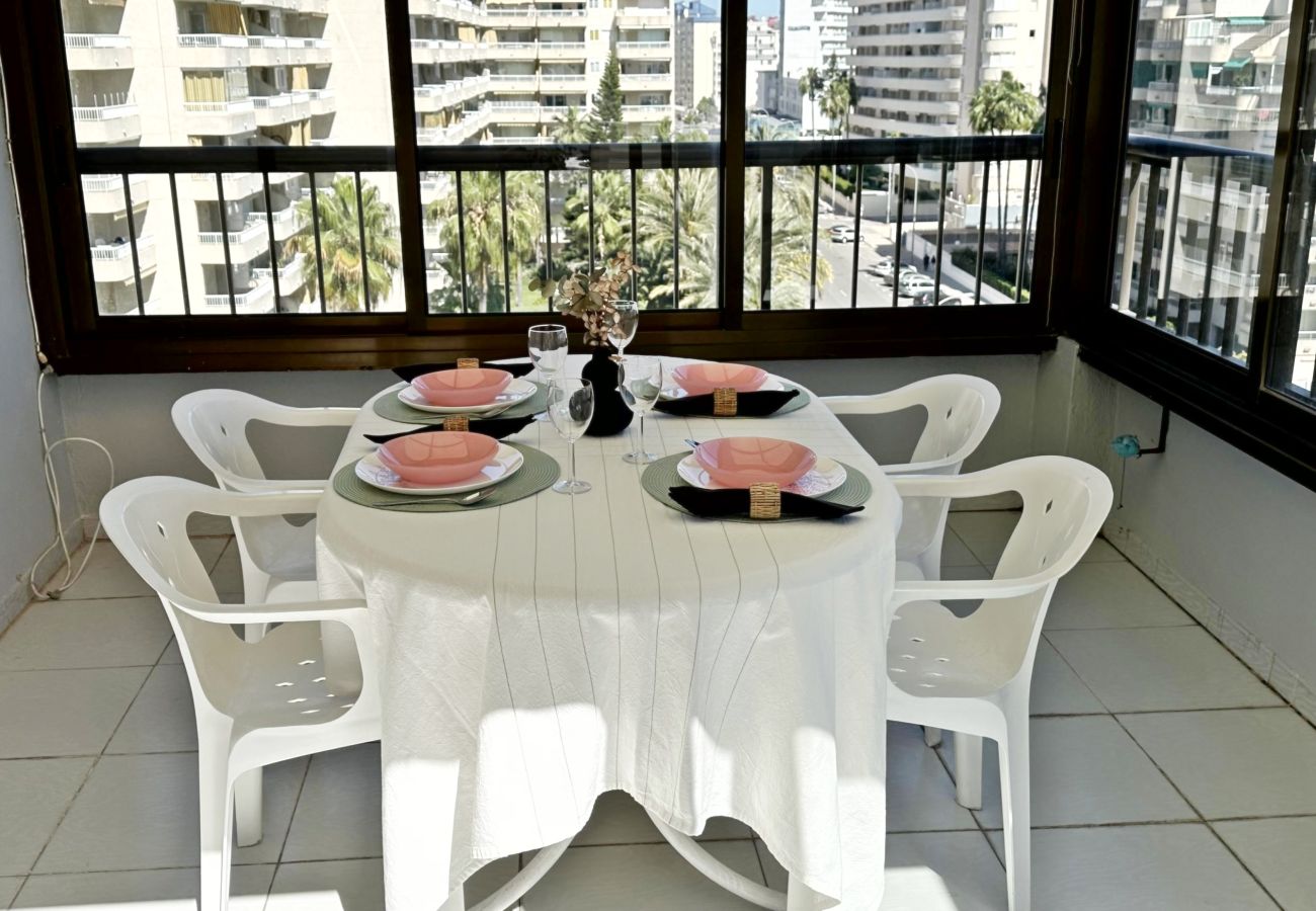 Apartamento en Gandia - REYNA 7º - 33
