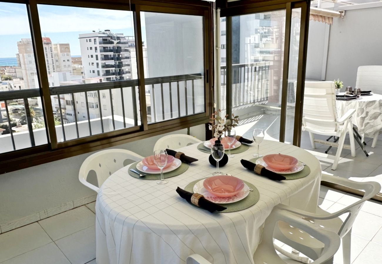 Apartamento en Gandia - REYNA 7º - 33
