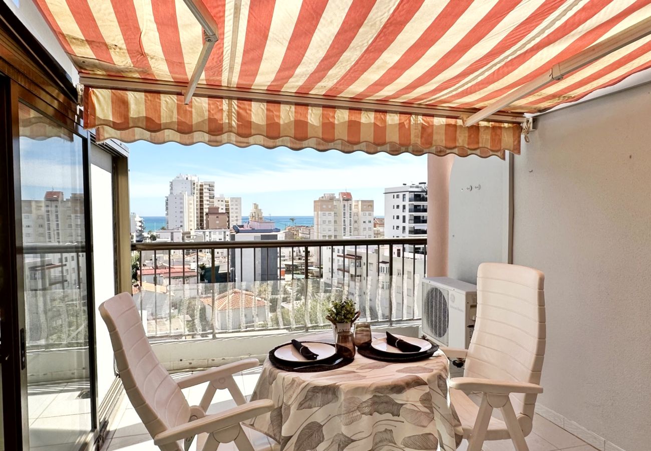 Apartamento en Gandia - REYNA 7º - 33