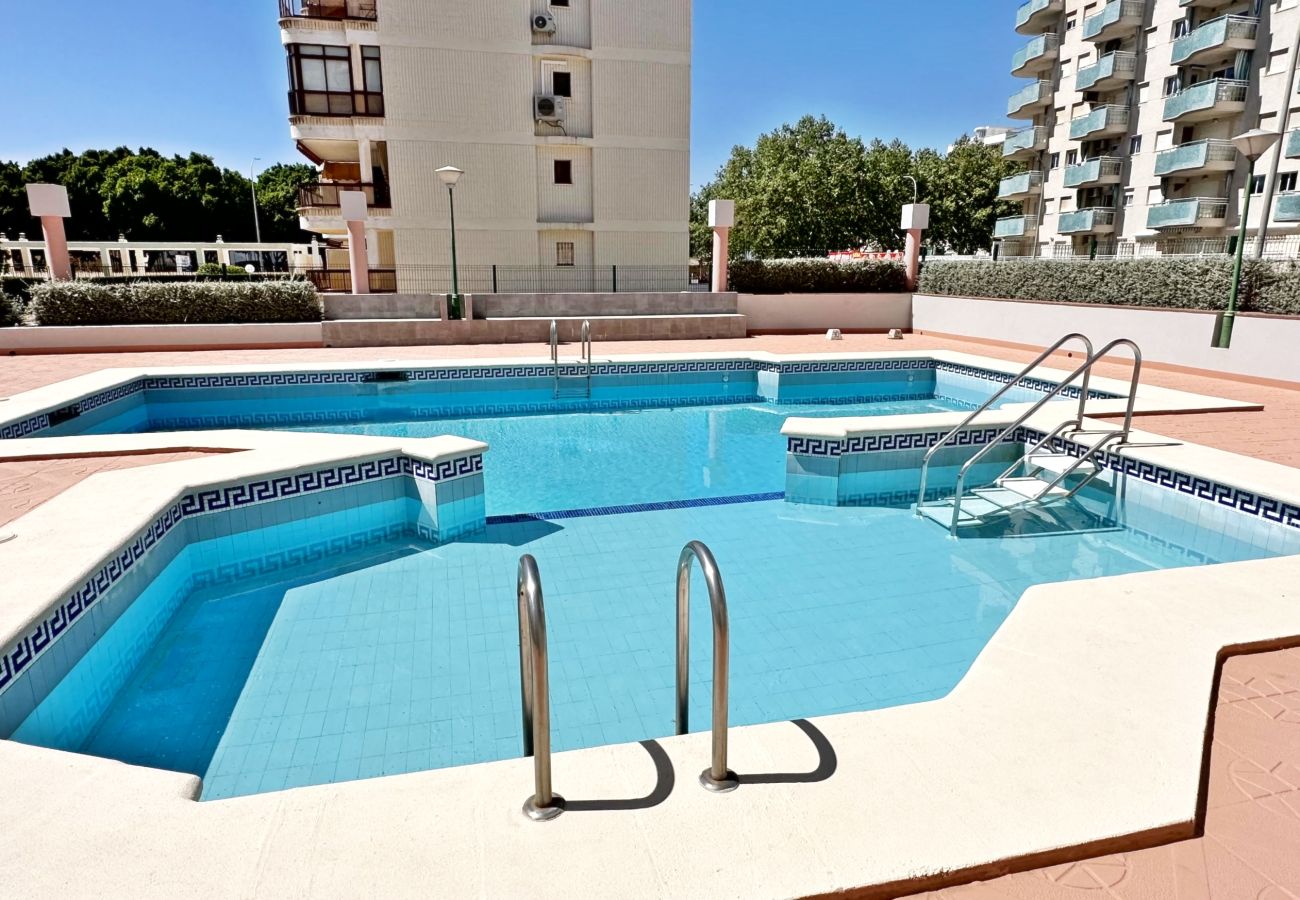 Apartamento en Gandia - REYNA 7º - 33