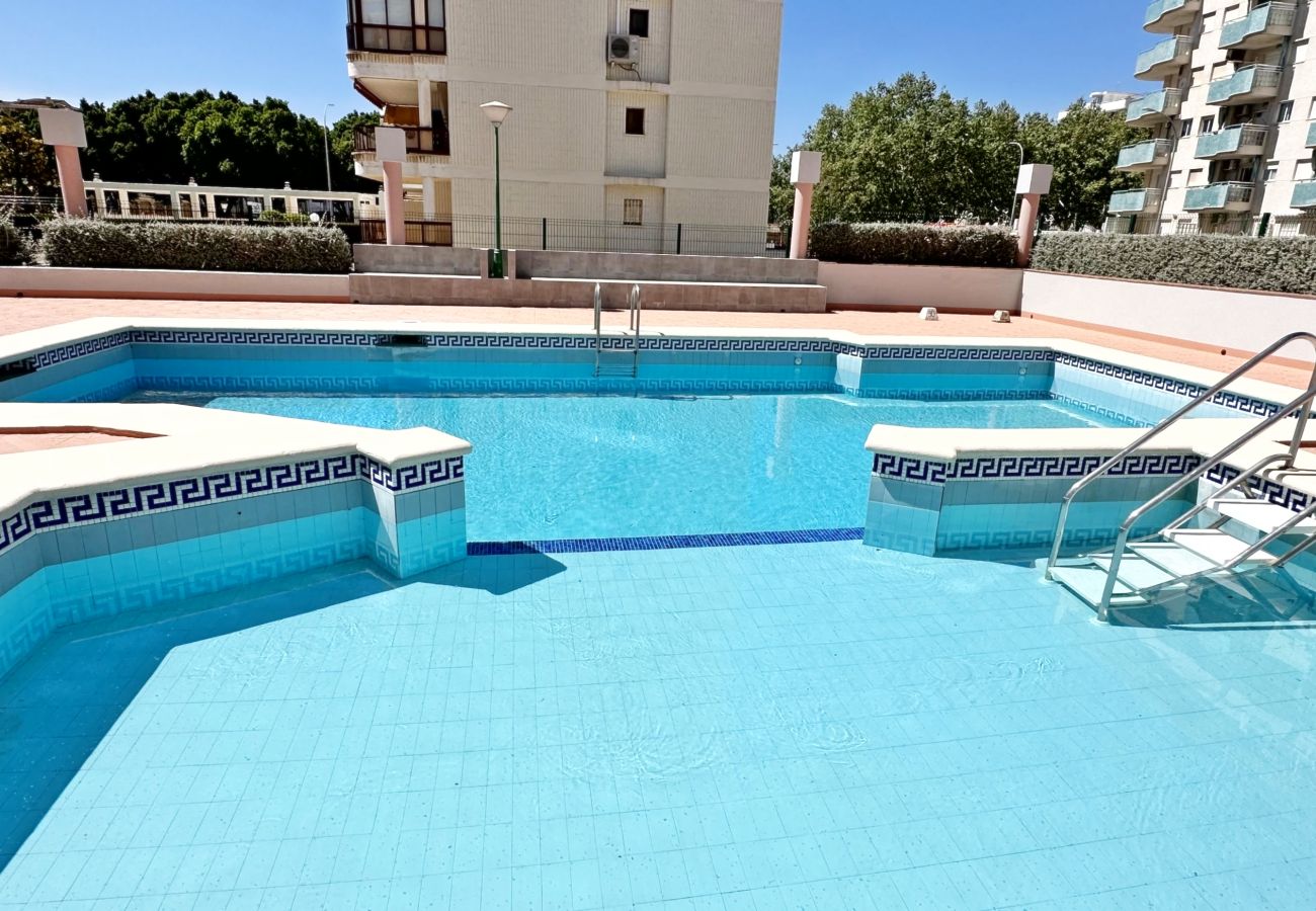 Apartamento en Gandia - REYNA 7º - 33