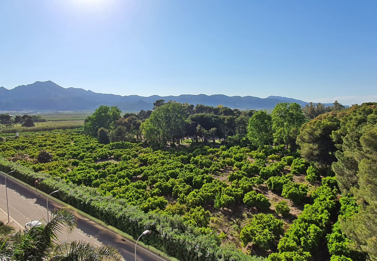 Apartamento en Gandia - RIOJA SALINAS IV - 1ª - 6º - 10