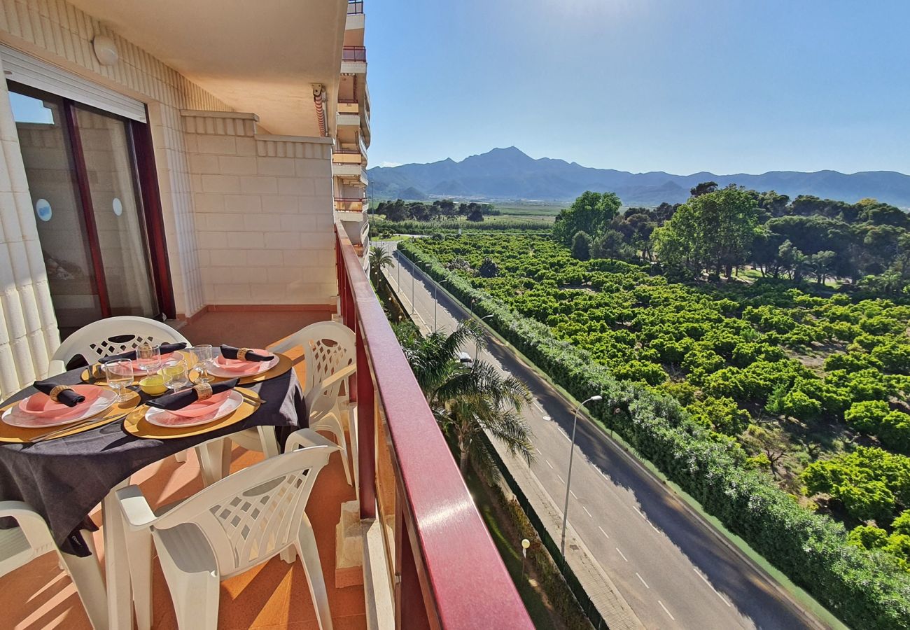 Apartamento en Gandia - RIOJA SALINAS IV - 1ª - 6º - 10