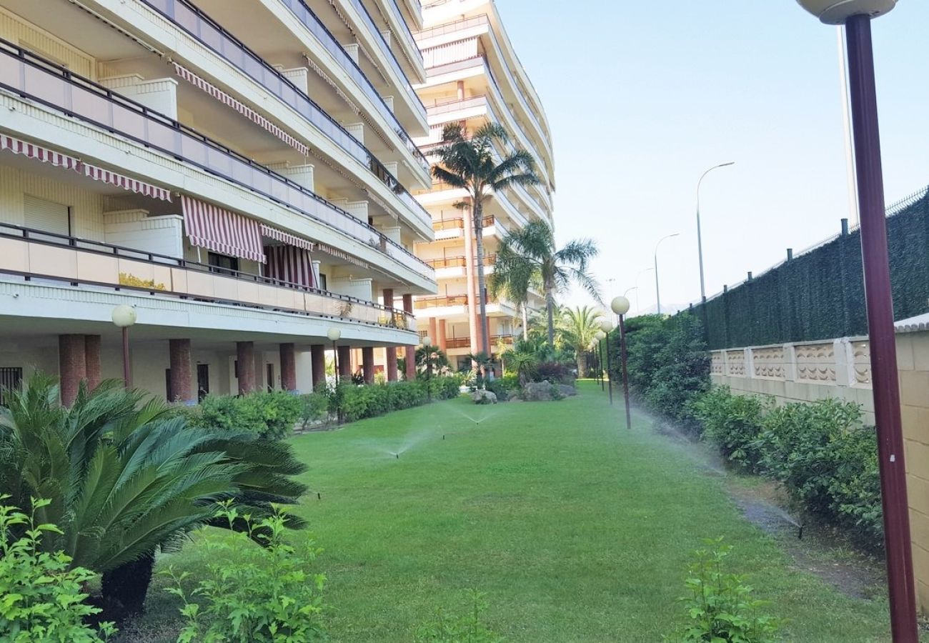 Apartamento en Gandia - RIOJA SALINAS IV - 1ª - 6º - 10