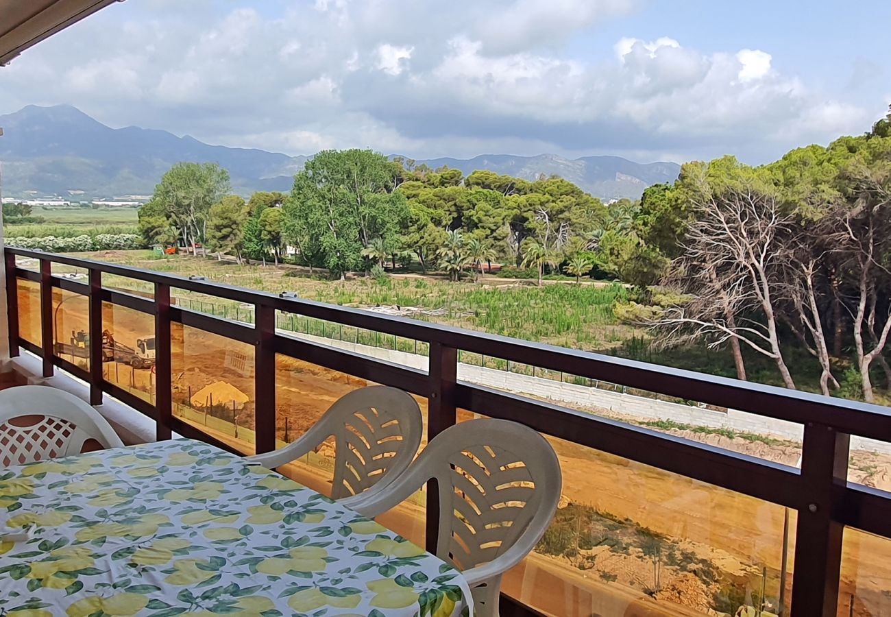 Apartamento en Gandia - RIOJA SALINAS IV - 3ª - 4º - 8ª