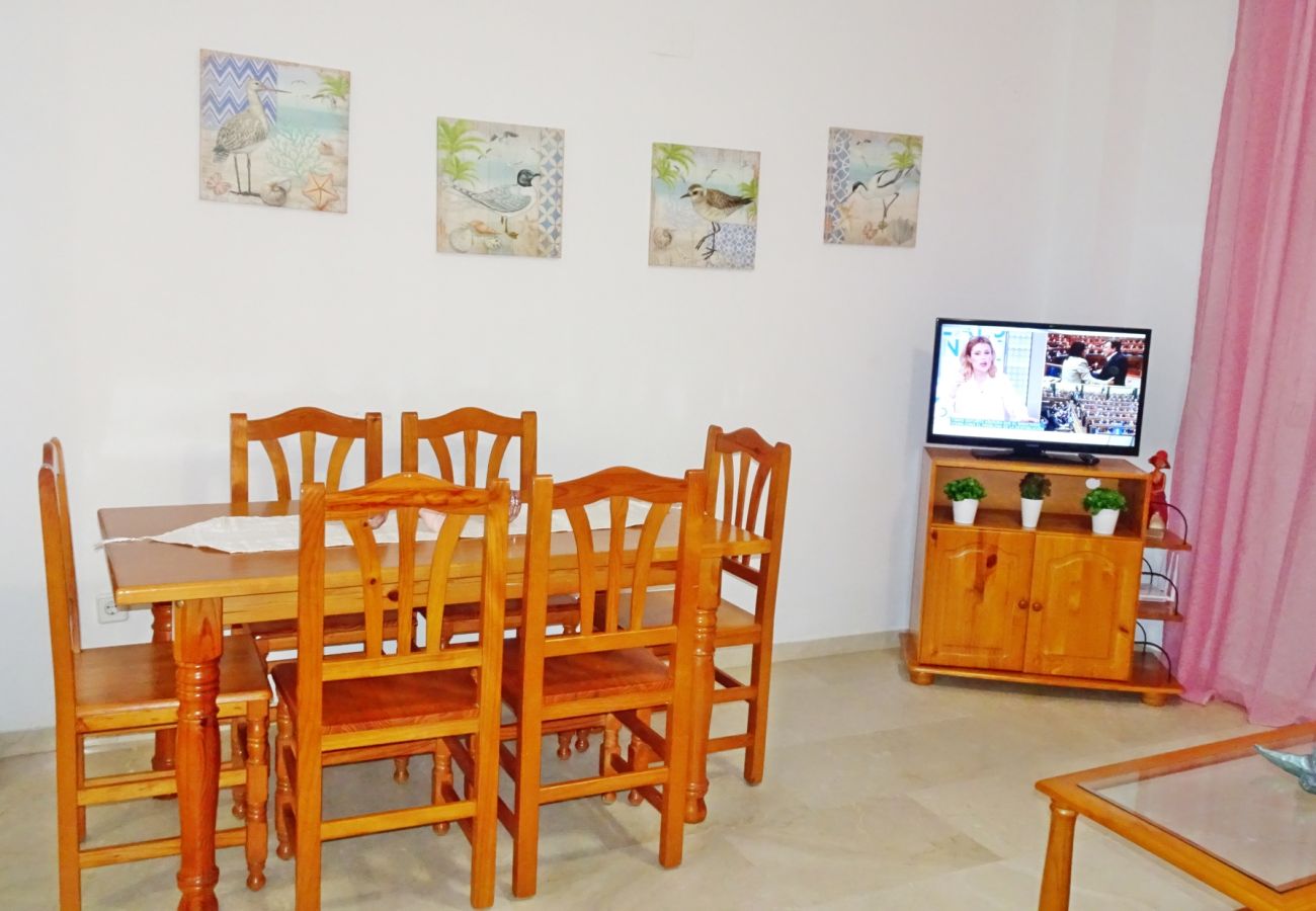 Apartamento en Gandia - RIOJA SALINAS IV - 3 - 8º - 16