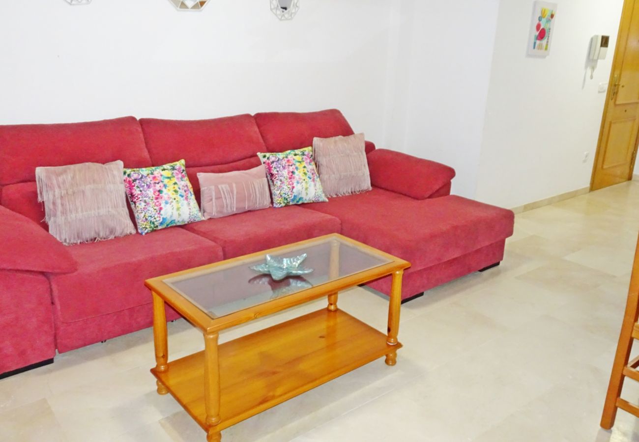 Apartamento en Gandia - RIOJA SALINAS IV - 3 - 8º - 16