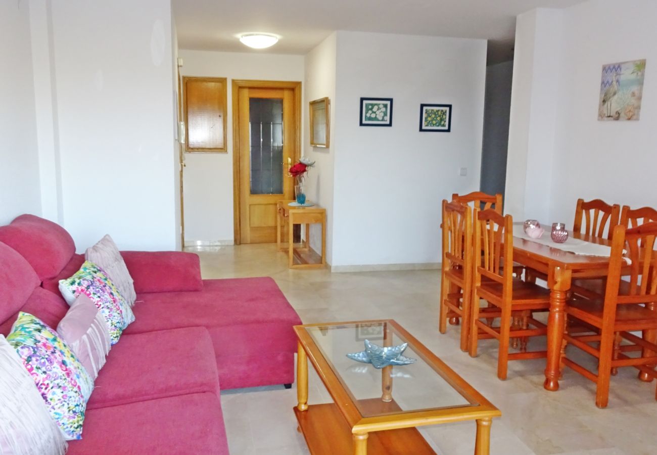 Apartamento en Gandia - RIOJA SALINAS IV - 3 - 8º - 16