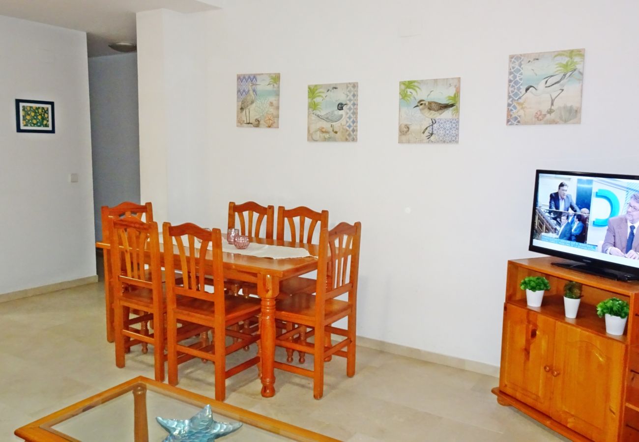Apartamento en Gandia - RIOJA SALINAS IV - 3 - 8º - 16