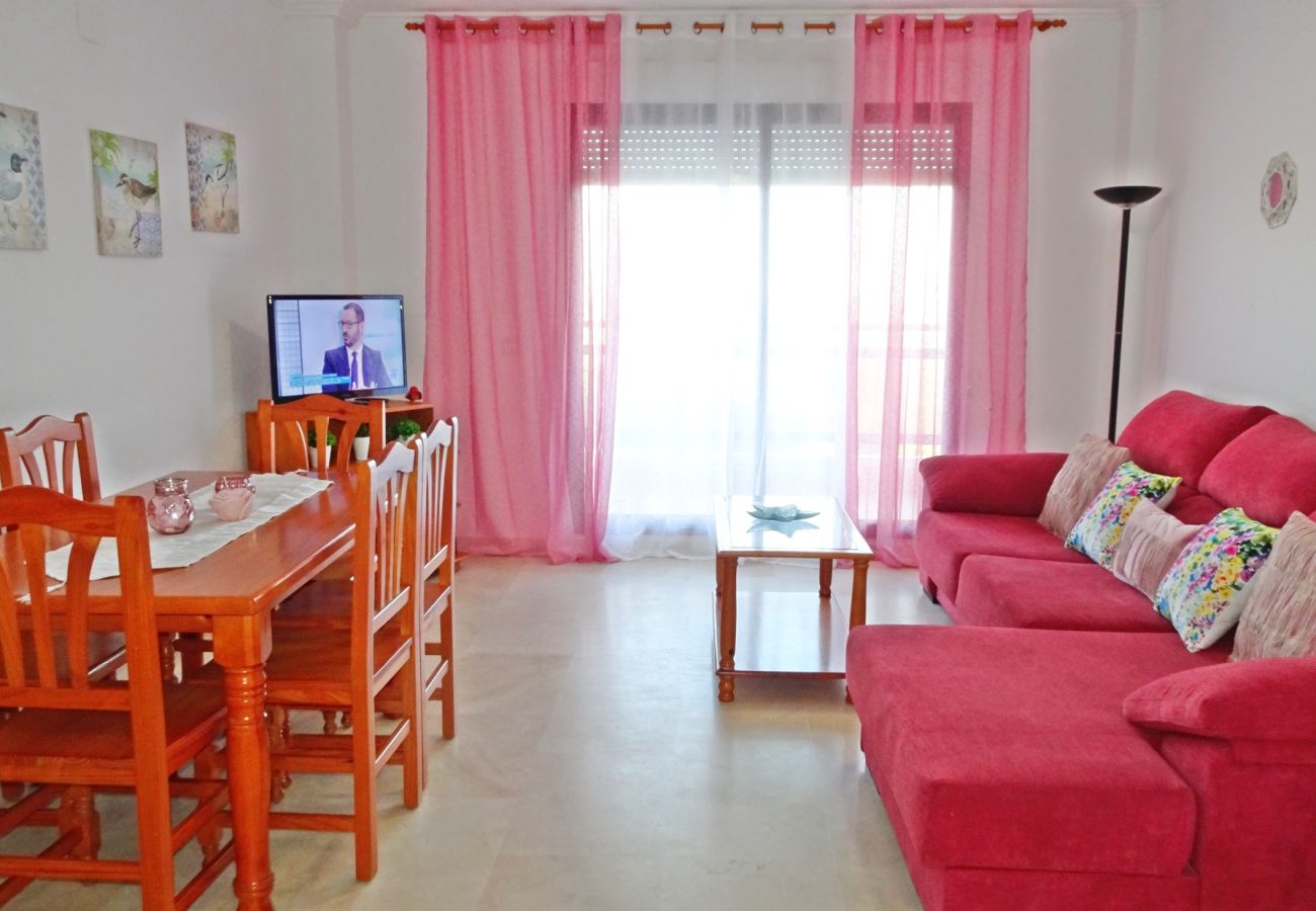 Apartamento en Gandia - RIOJA SALINAS IV - 3 - 8º - 16