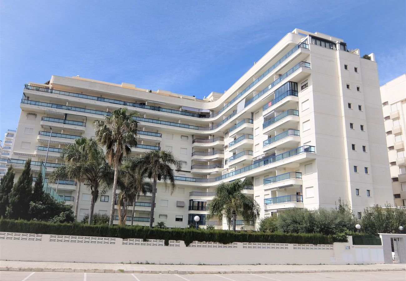 Apartamento en Gandia - RIOJA SALINAS III 4ª - 5º - 10ª