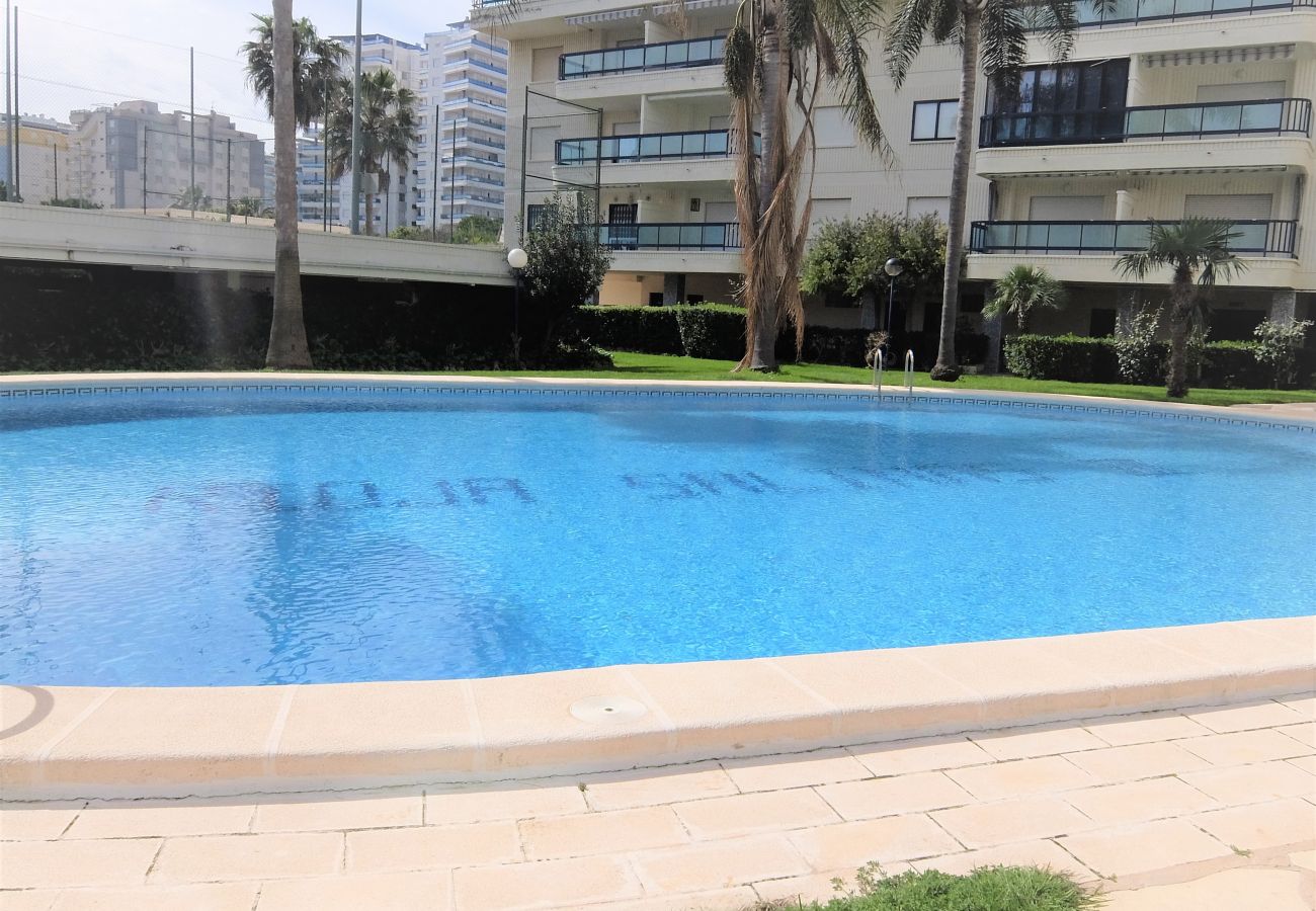 Apartamento en Gandia - RIOJA SALINAS III 4ª - 5º - 10ª