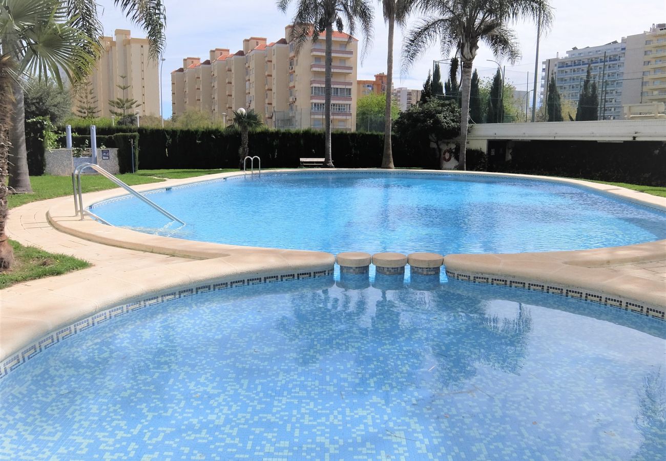 Apartamento en Gandia - RIOJA SALINAS III 4ª - 5º - 10ª