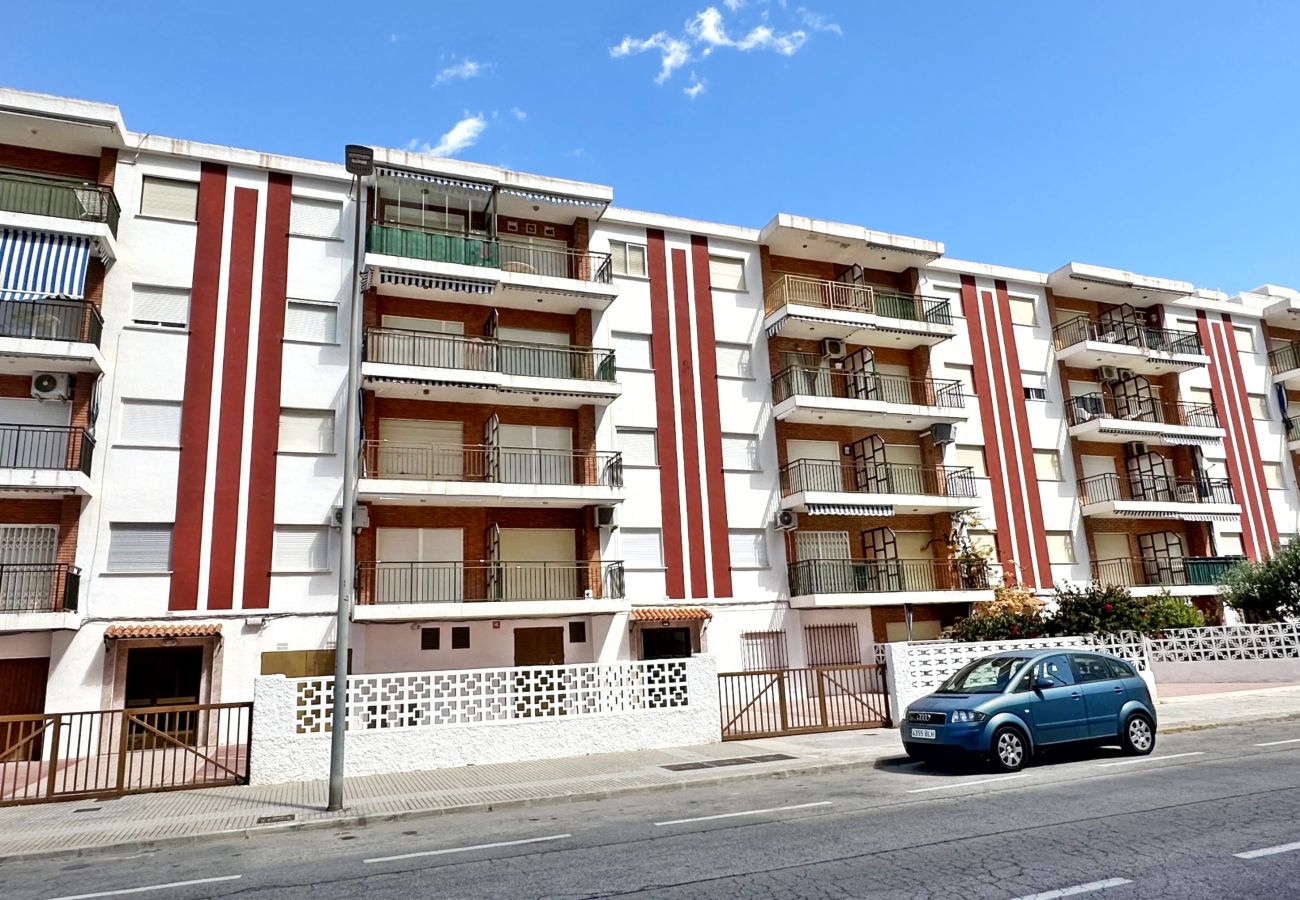 Apartamento en Gandia - ROMA V - 20 - 1º - 5ª