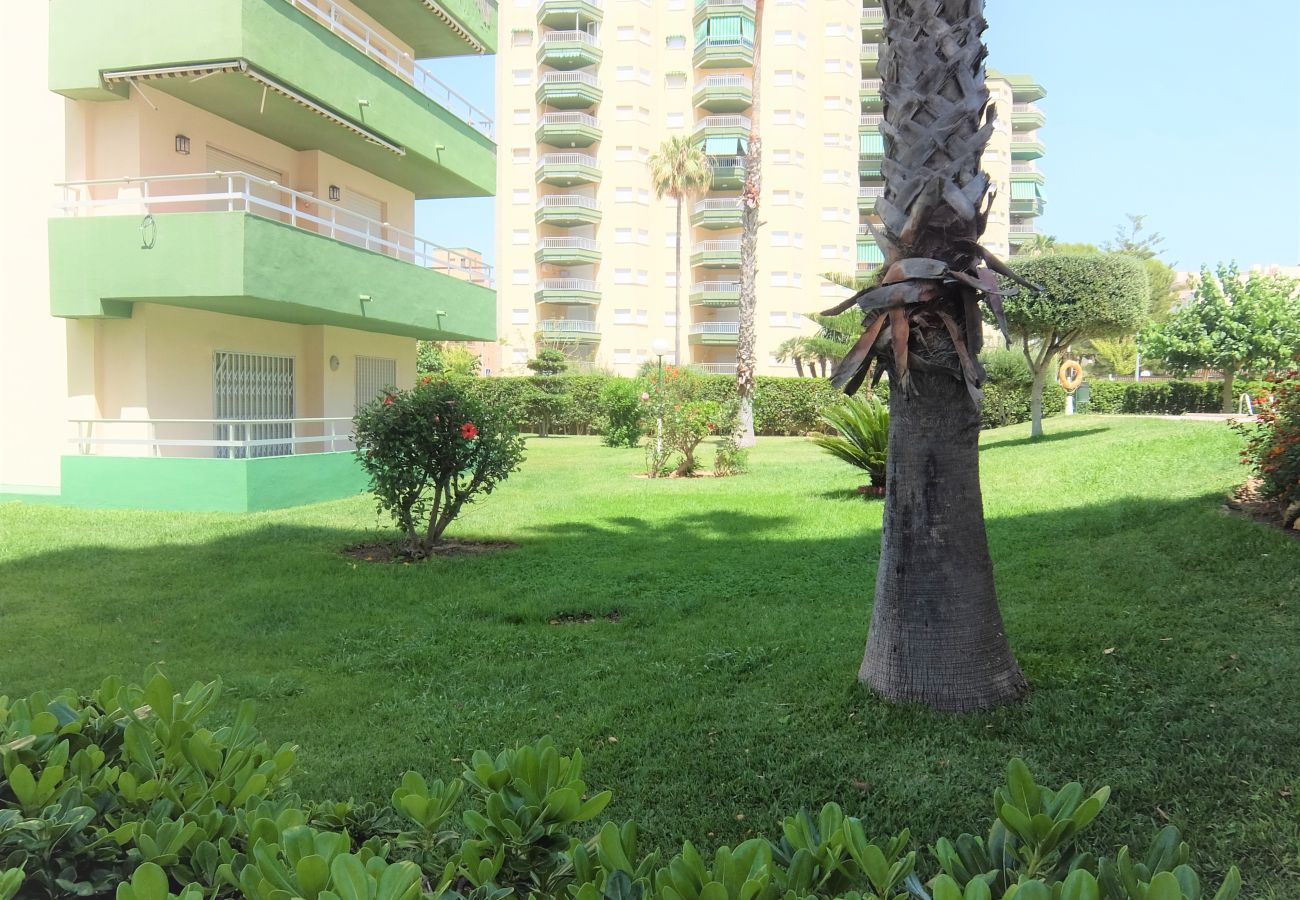Apartamento en Gandia - ZEUS Bajo - A