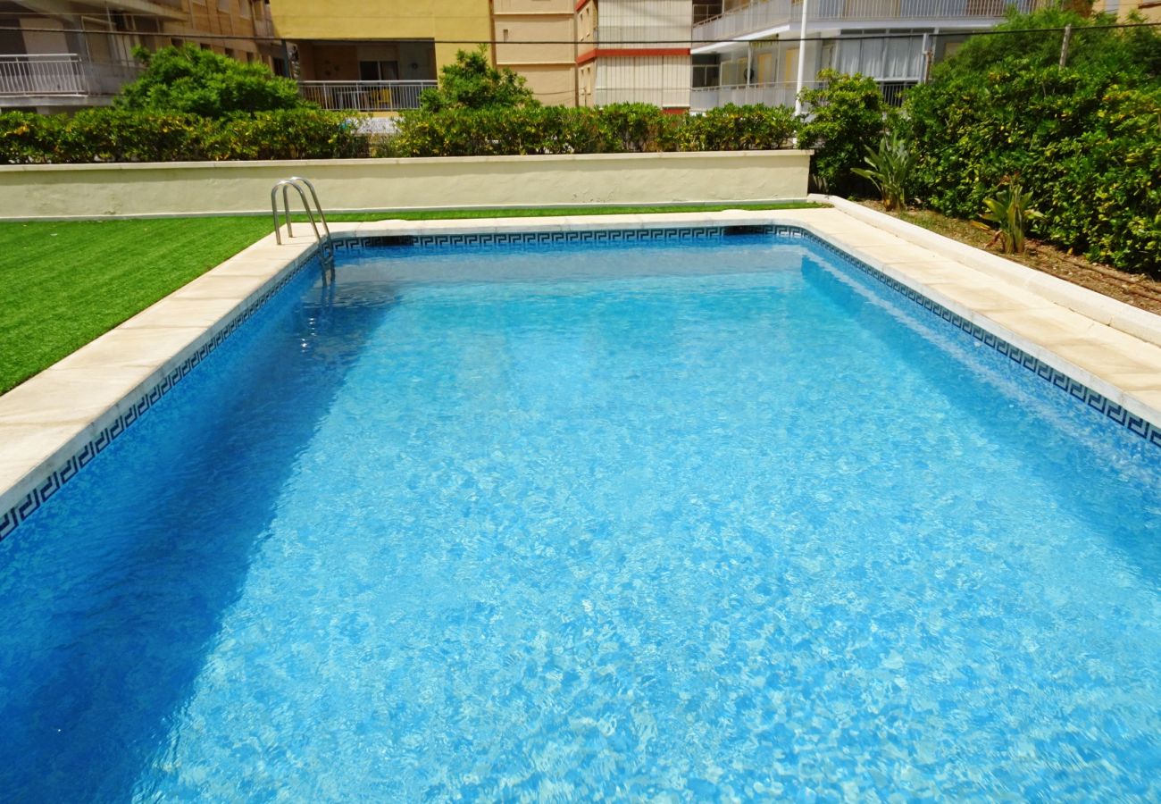 Apartamento en Gandia - VORAMAR 4º - 7ª