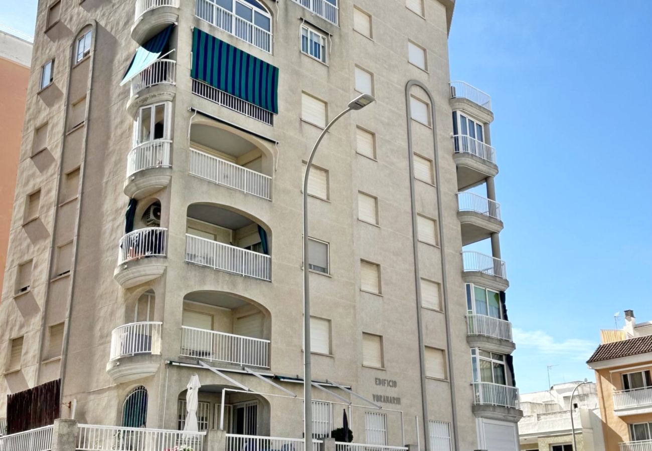Apartamento en Gandia - VORAMAR III - 1ª - 1º - C
