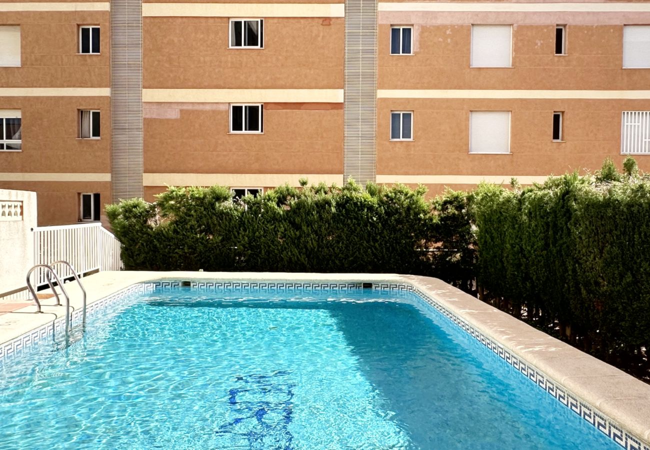 Apartamento en Gandia - VORAMAR III - 1ª - 1º - C