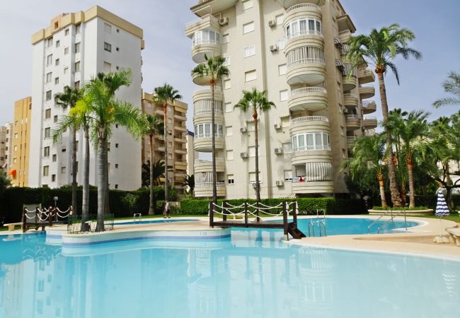Apartamento en Gandia - TROPICANA PARK 18 - 5º - 28ª