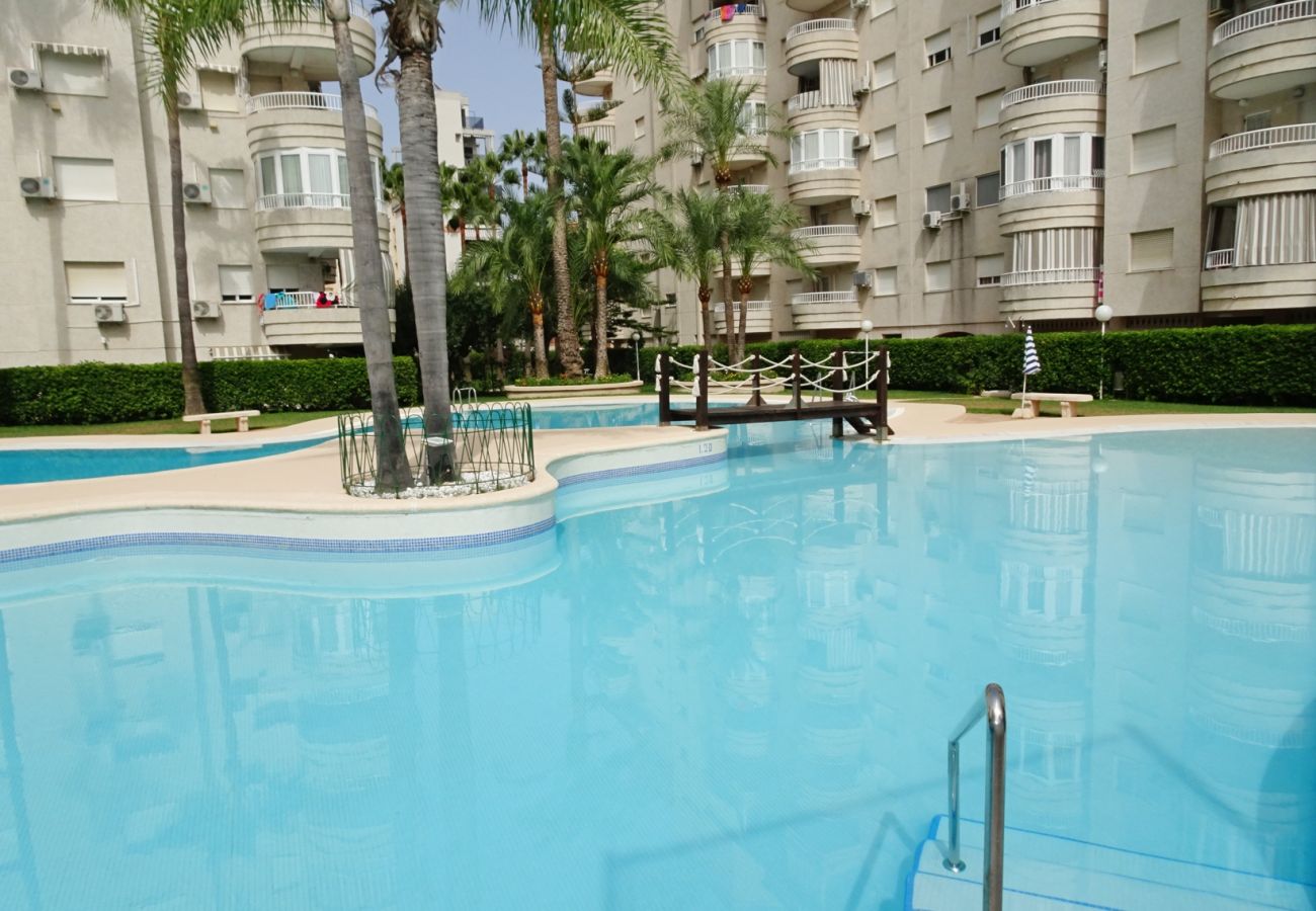 Apartamento en Gandia - TROPICANA PARK 18 - 5º - 28ª