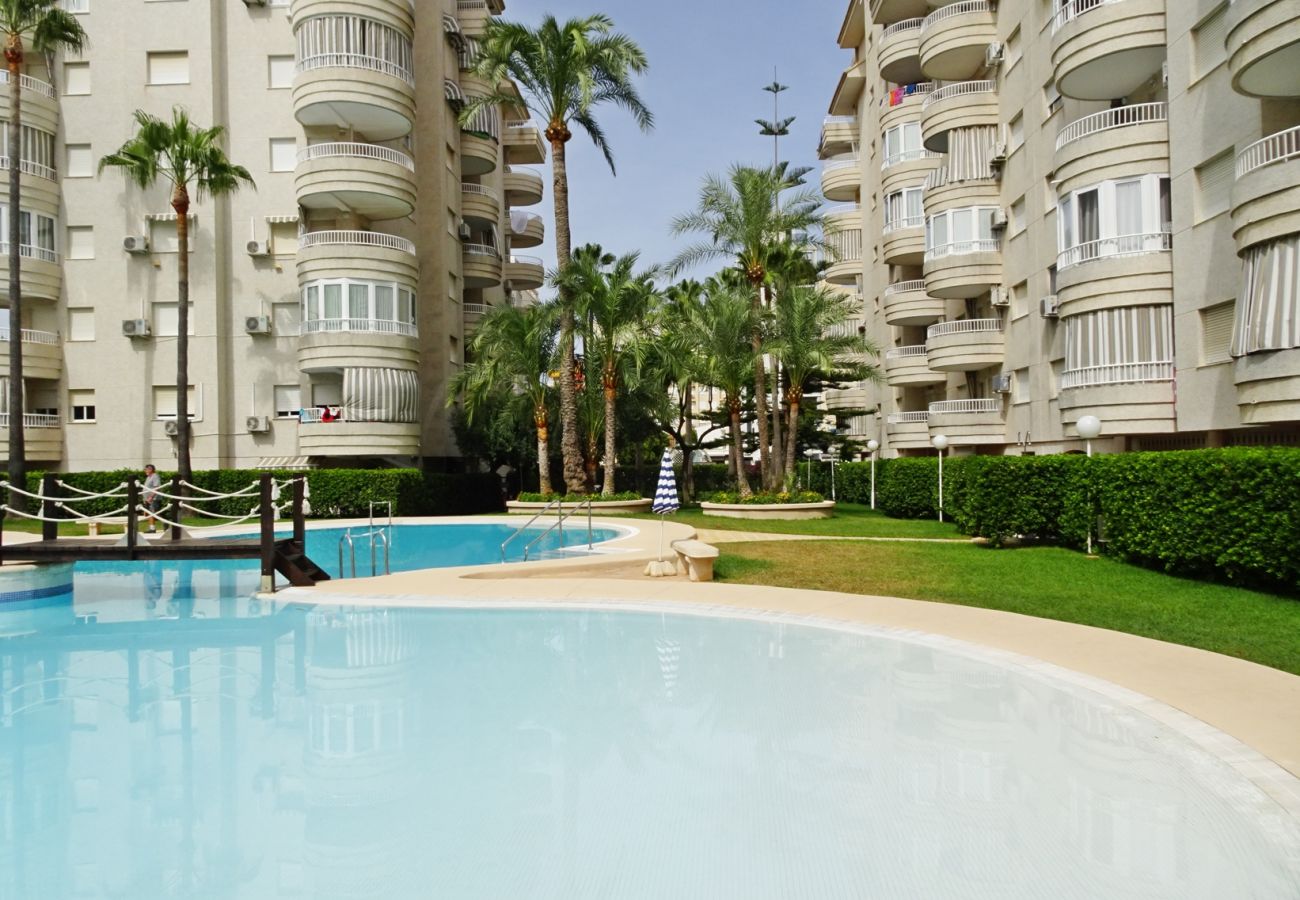 Apartamento en Gandia - TROPICANA PARK 18 - 5º - 28ª