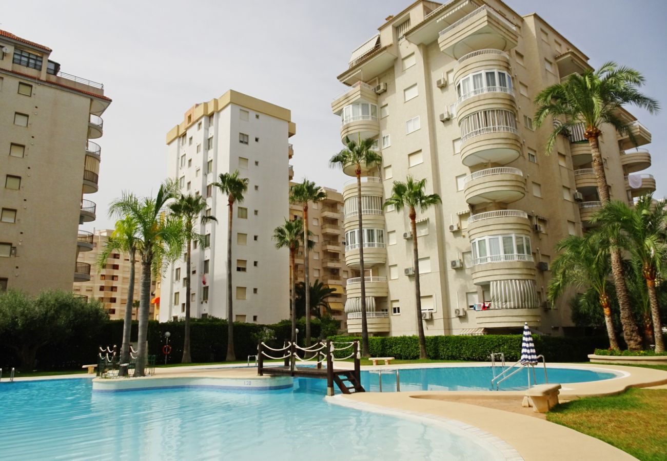 Apartamento en Gandia - TROPICANA PARK 18 - 5º - 28ª