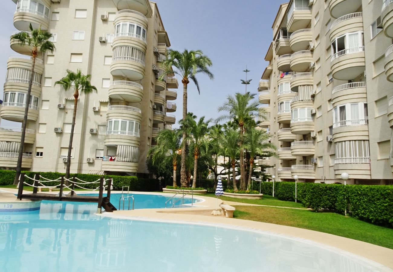 Apartamento en Gandia - TROPICANA PARK 18 - 5º - 28ª