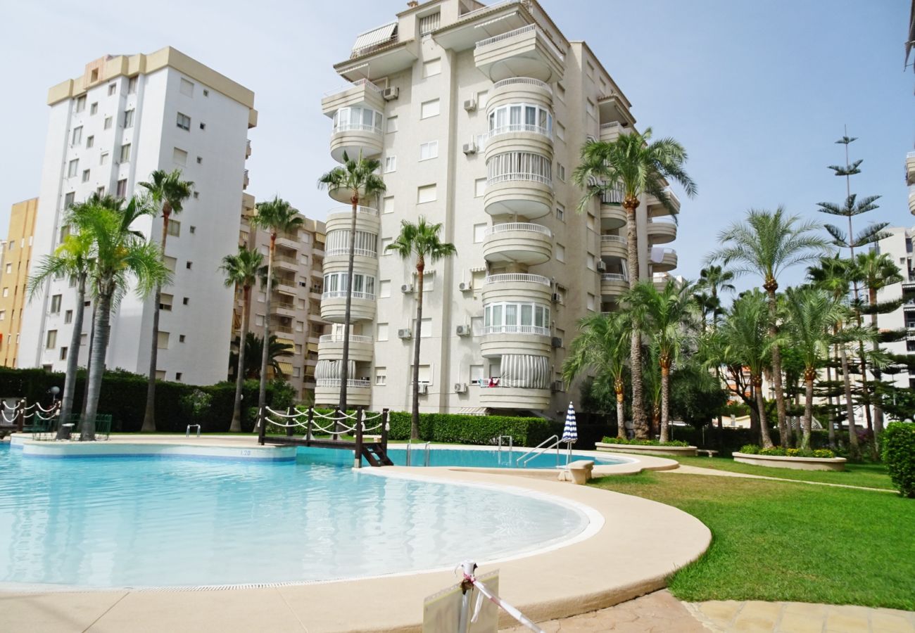 Apartamento en Gandia - TROPICANA PARK 18 - 5º - 28ª