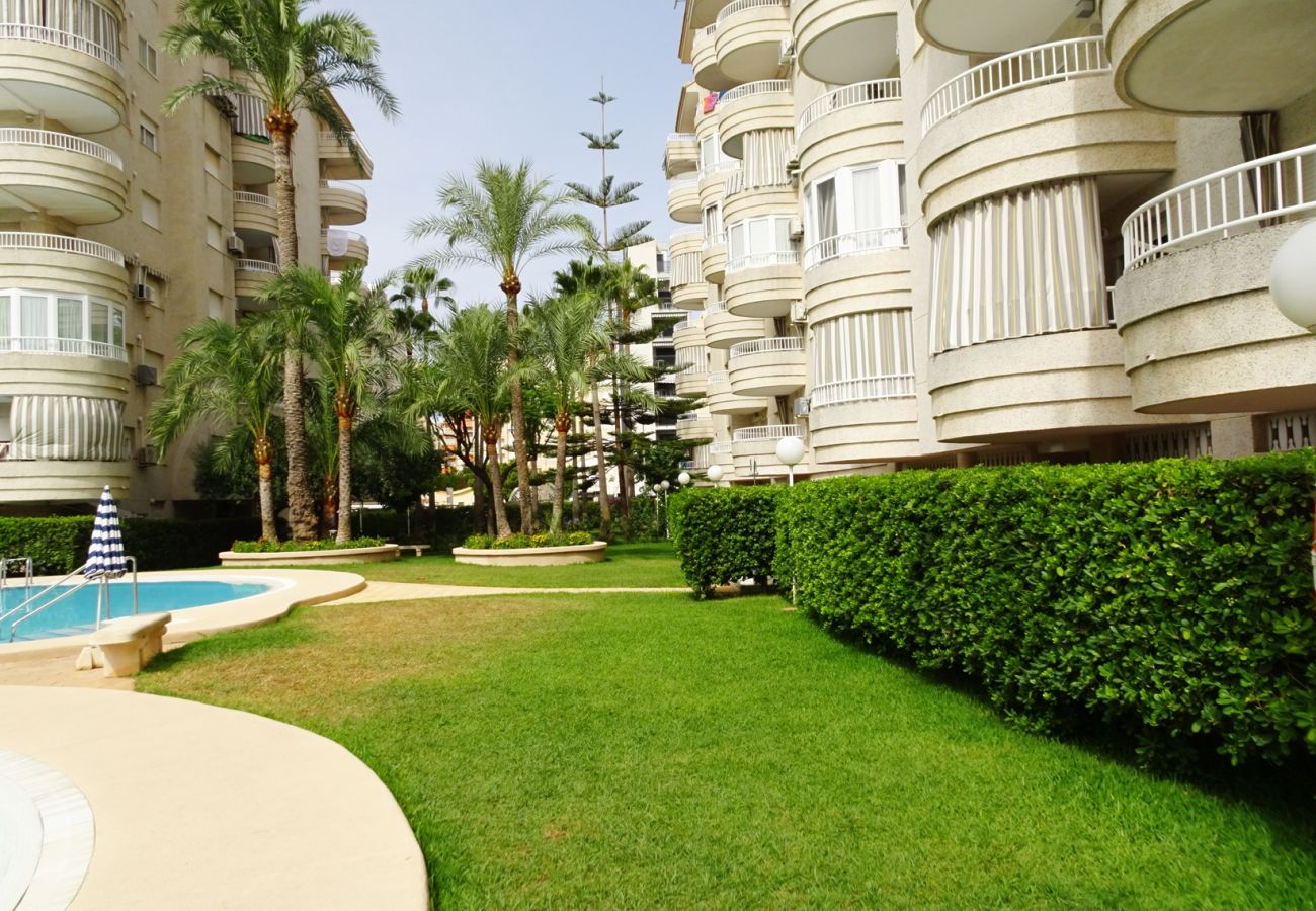 Apartamento en Gandia - TROPICANA PARK 18 - 5º - 28ª