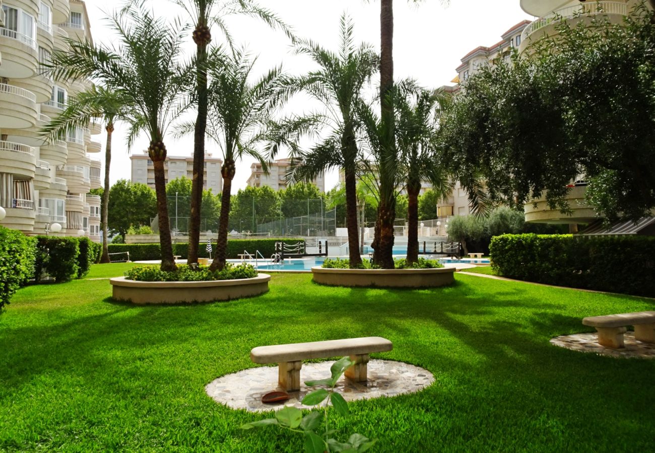 Apartamento en Gandia - TROPICANA PARK 18 - 5º - 28ª