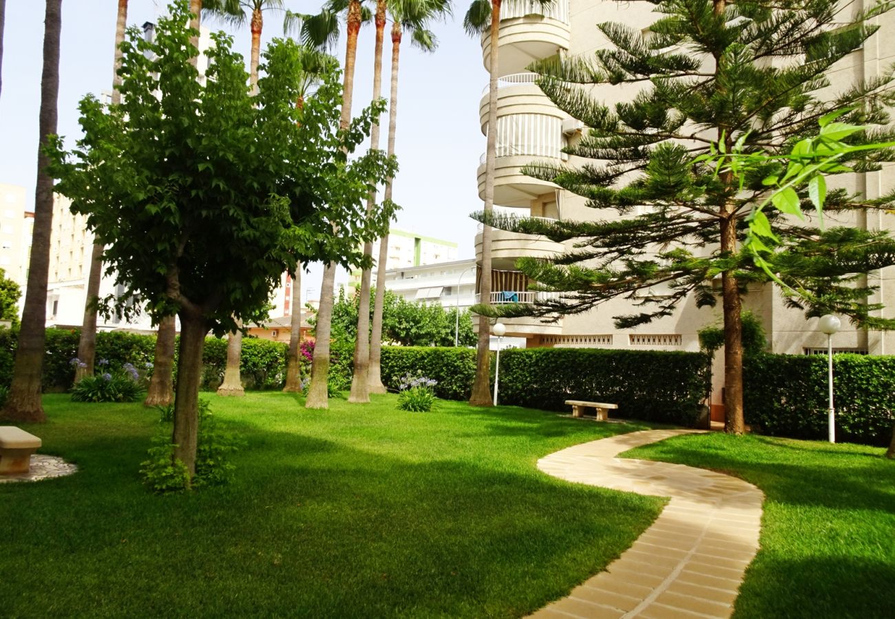 Apartamento en Gandia - TROPICANA PARK 18 - 5º - 28ª
